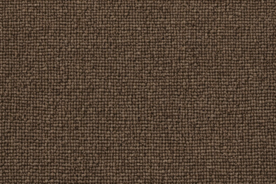 An image showcasing a sleek, low-pile carpet with tightly woven fibers in a neutral color, effectively repelling pet hair